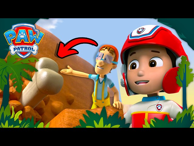 The PAW Patrol Finds a T-Rex Bone! 🦴 | PAW Patrol Dino Rescues 🦖