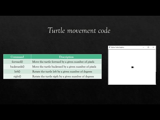 Introduction to Python - Turtle Activity