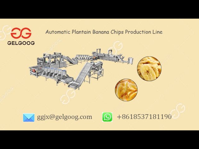 Automatic Plantain Banana Chips Making Machine Line @gelgoog.com #bananachips #plantains