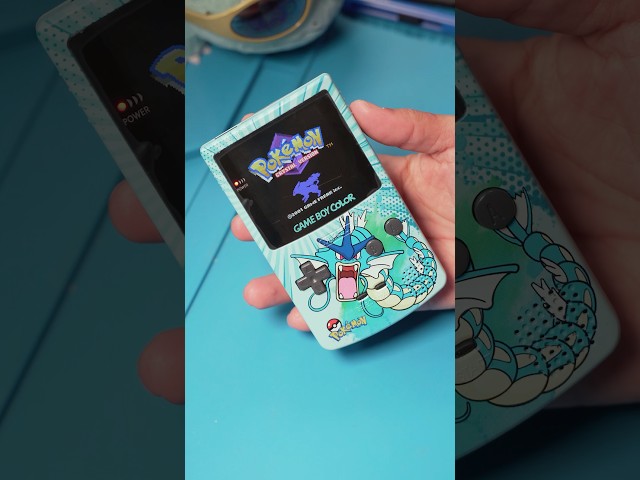 This Gyarados Gameboy is one of my favorites!