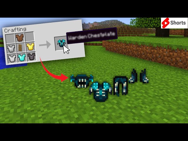 What will happen if i combine ALL Minecraft armor... #SHORTS