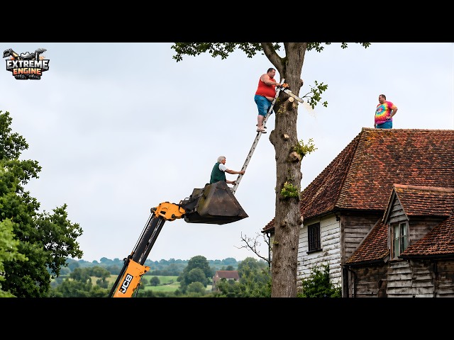 Idiots With Chainsaws Tree Cutting Fails | Heavy Equipment Fails Compilation #3