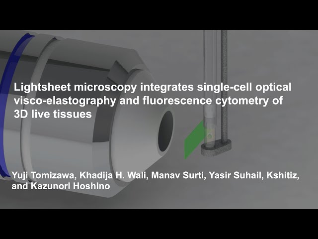 Lightsheet Microscopy Based Single-Cell Viscoelastography