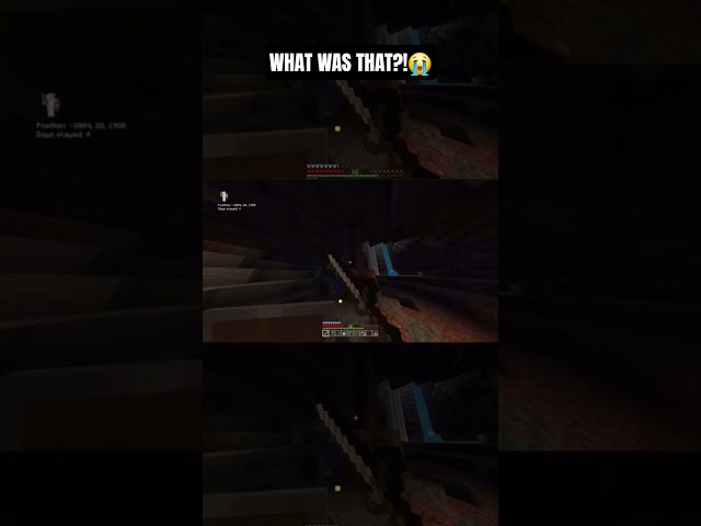 rip