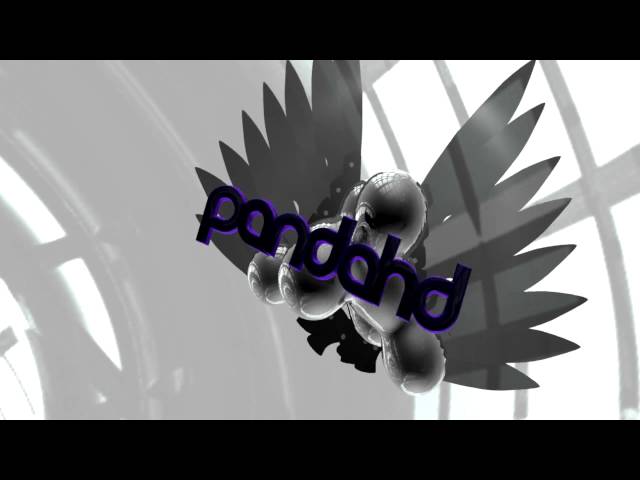 PANDAINTRO 2