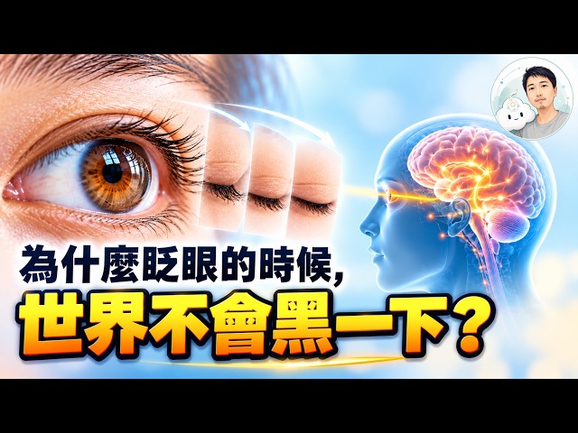 Why Doesn't the World Go Dark When You Blink? | The Science of Blinking