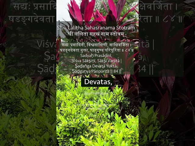 Shri Lalitha Sahasranamam Shloka 84 | सद्यः प्रसादिनी | विश्वसाक्षिणी |Just Sudha Gyan