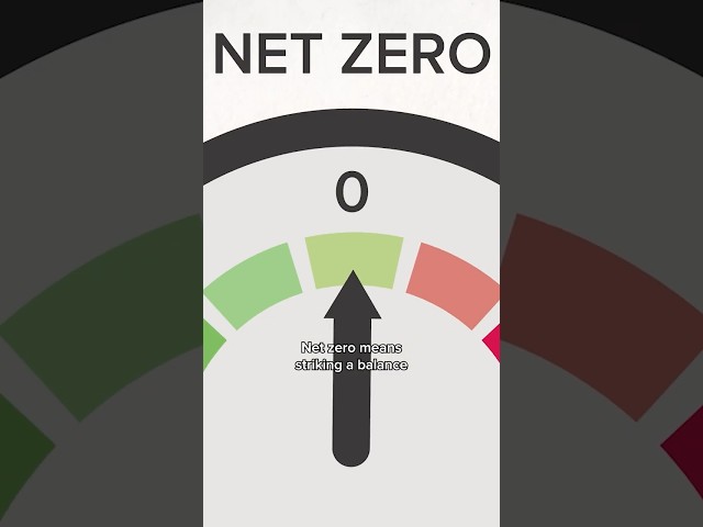 What is 'net zero'? 🏭 #netzero #climatechange #science