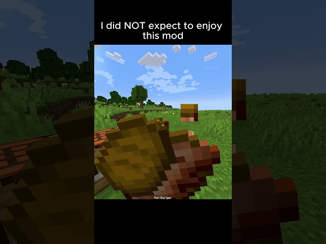 Did not expect this Minecraft mod to be this fun