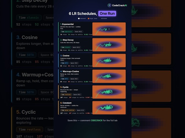 6 Learning Rate Schedules Explained in One Run