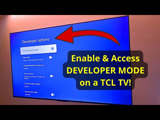 How to Enable Developer Mode & Access Developer Settings on TCL Smart TV (Google TV/Android TV)