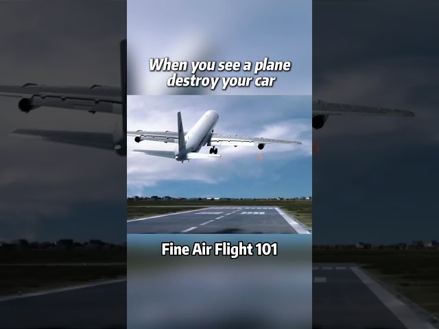 When you see a plane destroy your car#aviation #pilot #aircraft
