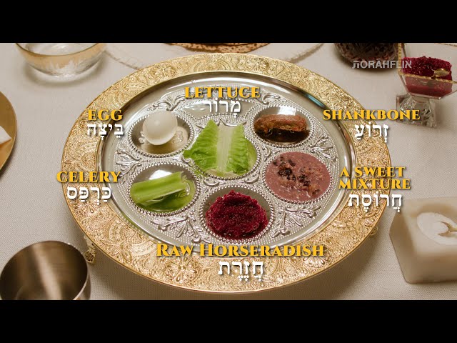 A Visual Guide on The Passover Seder | TORAHFLIX
