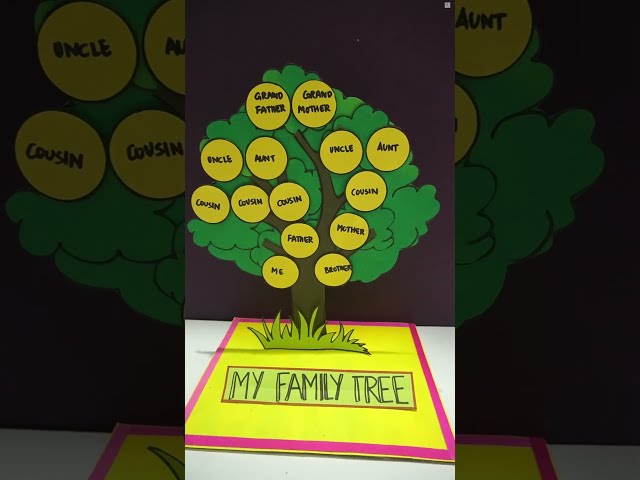 How to make a Family Tree 3D Model | School Project Model | Family Tree | The4PillarsAcademy