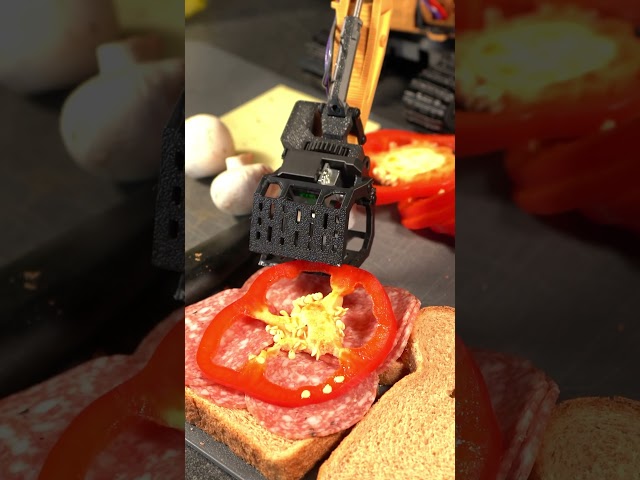 3D Printed RC Excavator Chef #3dprinting