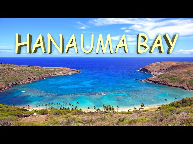Hanauma Bay - Oahu, Hawaii 4K