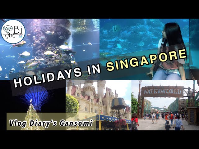 HOLIDAYS IN SINGAPORE | Vlog Diary Gansomi