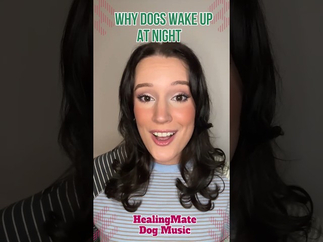 🐶💖Why Dogs Wake Up at Night💖🐶