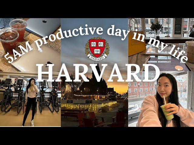 5AM to 12AM harvard day in my life (super busy + productive) 📚