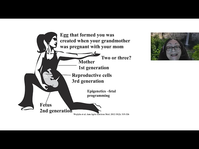 Engaging Women During and After Pregnancy in Physical Activity and Recreational Sport