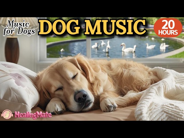 20 HOURS of Dog Calming Music🐶🎵Separation Anxiety Relief for Dogs🐶💖Peaceful Sleep Music for Dogs
