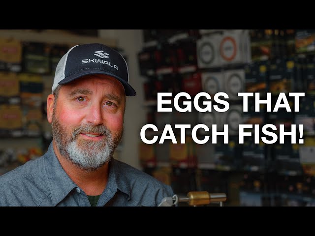 Egg Flies That Catch Fish! Brian's Favorite Patterns - Fly Tying Tutorial