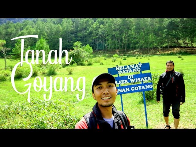 tanah goyang ponorogo wisata alam unik dengan hamparan padang rumput yang luas