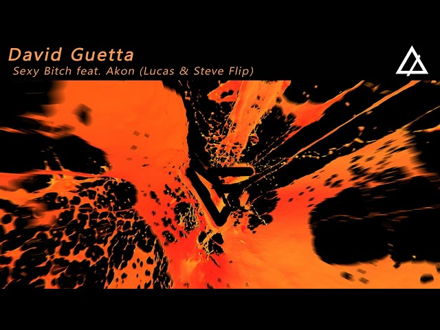 David Guetta - Sexy B*itch feat. Akon (Lucas & Steve Flip)