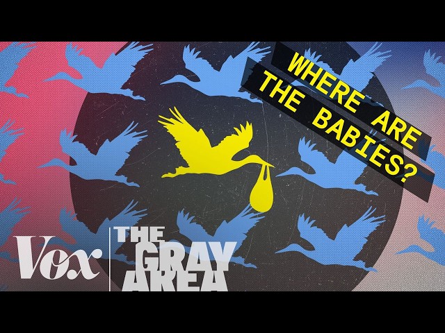 The global baby bust | The Gray Area