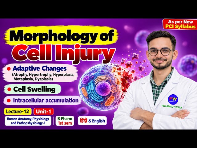 L-12 | Morphology of cell injury | cell swelling | Intracellular accumulation| b pharm 1st sem |