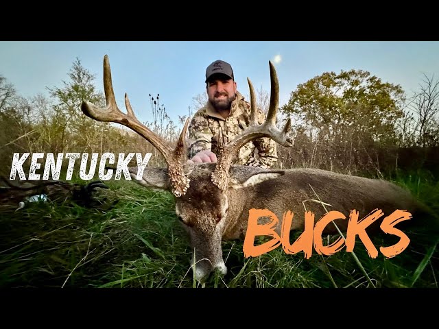 Kentucky Whitetail Deer Hunting | Rut Crazed Bucks | Paul Kills His Biggest Buck