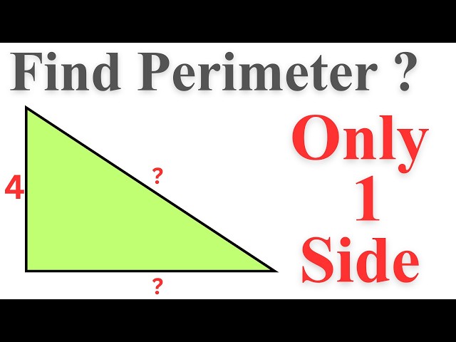 Find the Perimeter with Just One Side? l Olympiad Math Challenge
