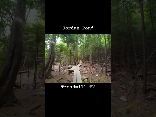#treadmill #marathontraining #jordanpond