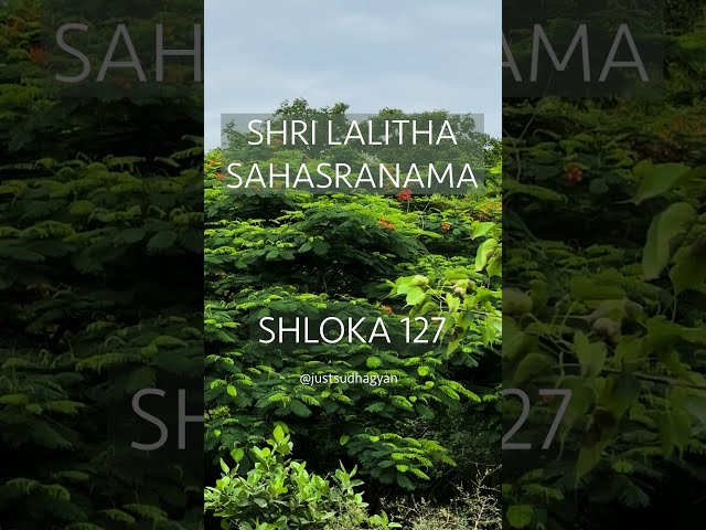 Shri Lalitha Sahasranamam Shlokas 127 | Powerful Daily Chanting |Just Sudha Gyan