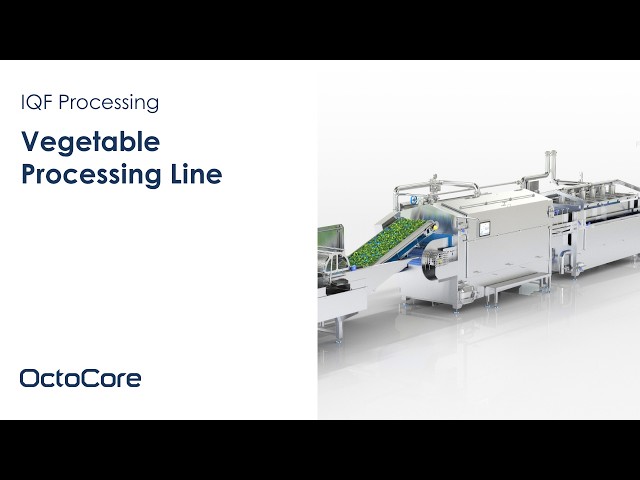 OctoCore IQF Vegetable Processing Line 3D | Washer | Blancher | Chiller | IQF Freezer