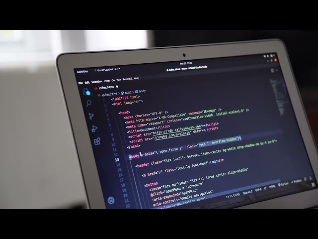 Python Programming Basics for Beginners