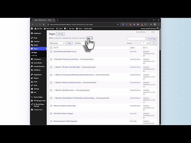 The WordPress Pages Menu