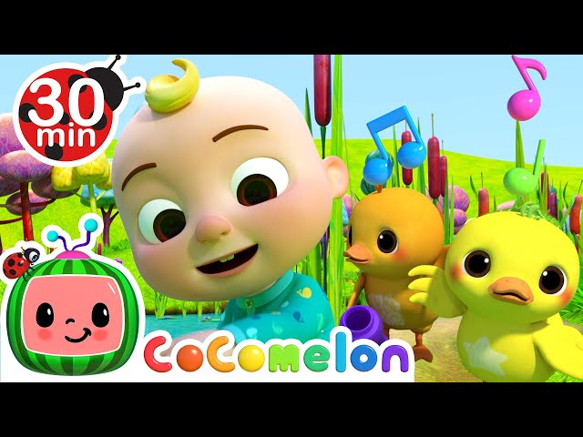 Five Little Ducks - Count to 5 | CoComelon Animal Time | Animals for Kids
