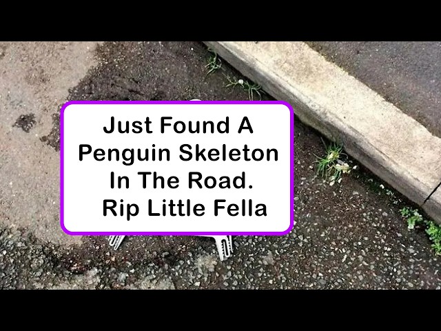 British Humor Posts That Are So Dry They’re Hilarious