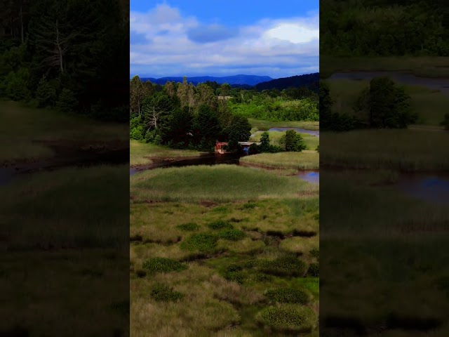 Lost in Nature | Calm River View #nonfollowers #youtubeshorts #views #shortvideo  #trending