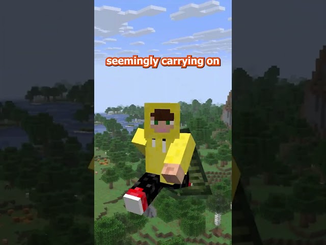 the new elytra textures for the new minecraft capes are SO cool!  #minecraft