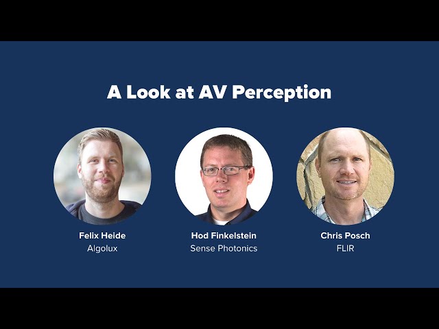 PAVE’s Virtual Panel "A Look at AV Perception" - Full Recording