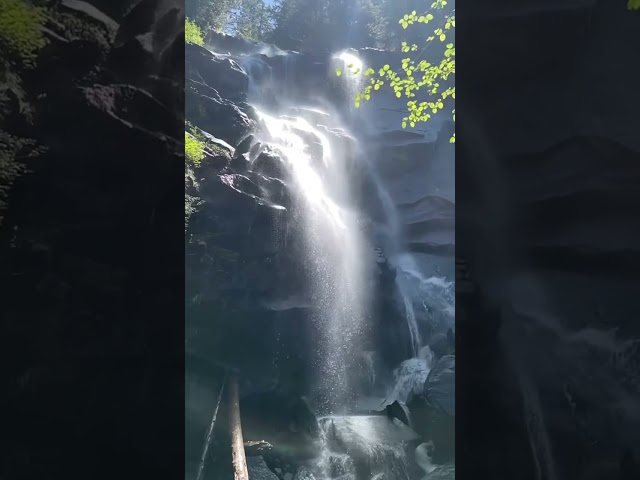 Waterfall in Washington State #travel #youtubeshorts #shorts #relaxing #viralvideo #hiking