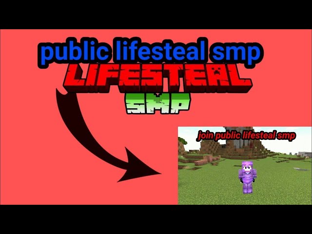 Lifesteal Smp for java and bedrock cracked join