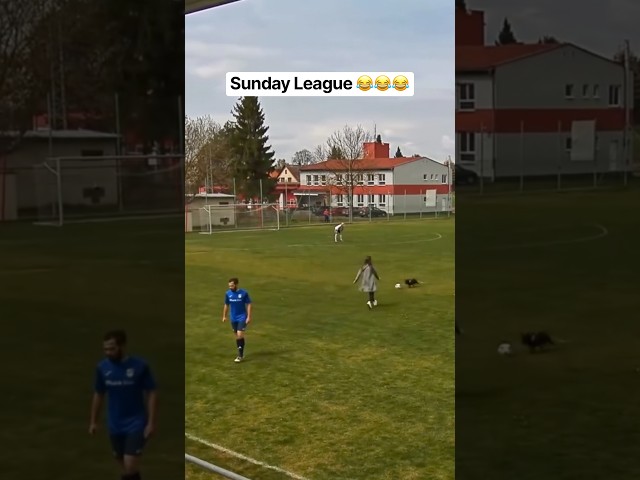 He’s got better footwork than most ballers 😂😂🐶 #SundayLeague #soccer #football #fyp