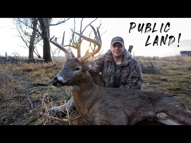 Public Land Bow Buck! | Scary Encounter, I Get Harassed!