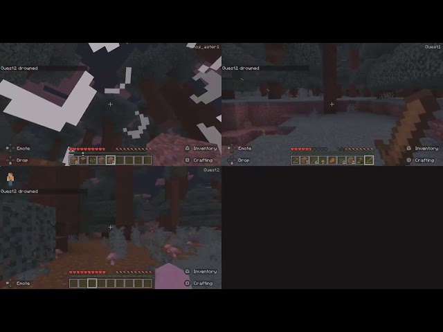 Minecraft day 1