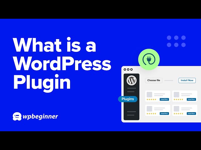 What is a WordPress Plugin?