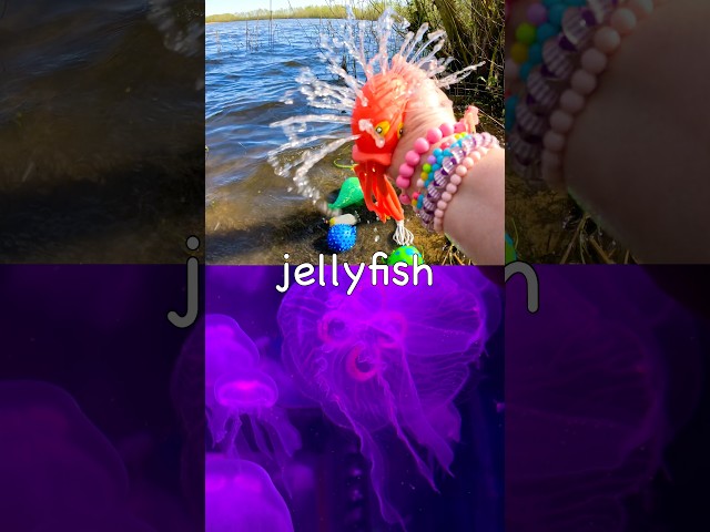 Toy Learning Fun | Kids Learn Sea Animal Names at the Lake: Narwhal Jellyfish Seahorse Fiddler Crab