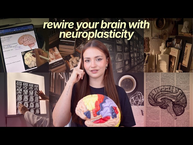 4 Cheat Code Principles to Upgrade Your Life With Neuroplasticity